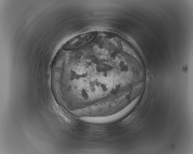 X0000115121035200911171323