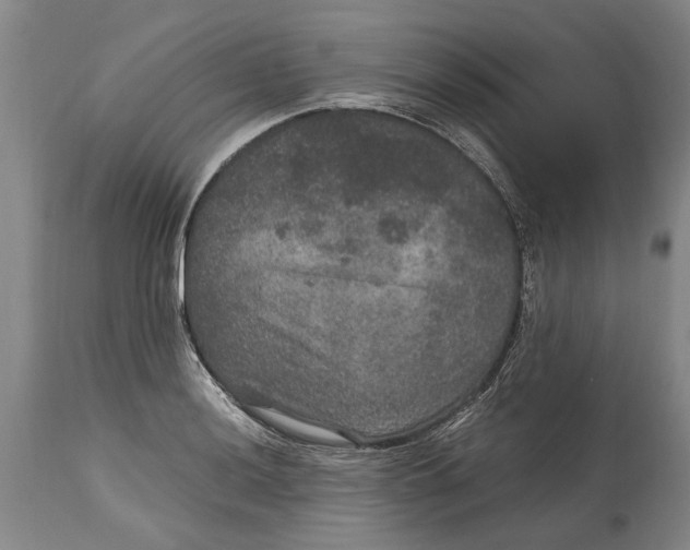 X0000115121036200911171323