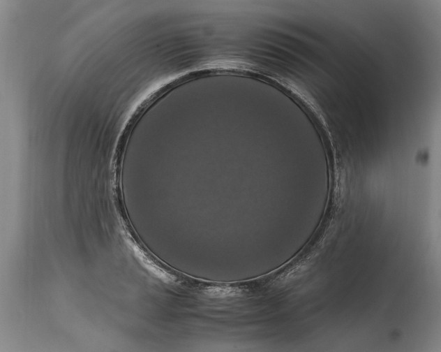 X0000115121037200911171323
