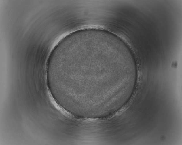 X0000115121038200911171323