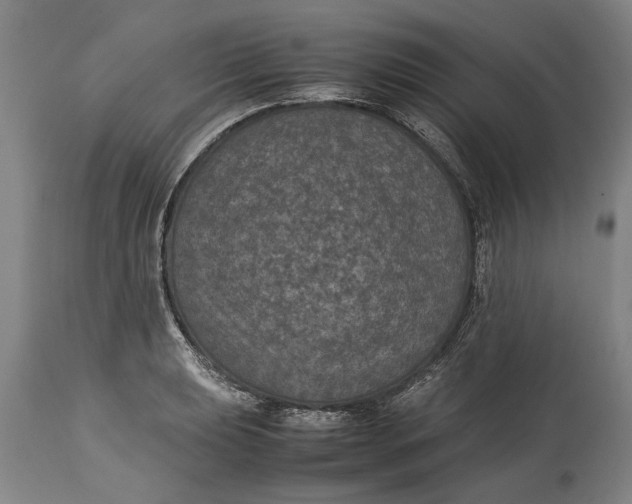 X0000115121039200911171323