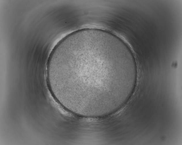 X0000115121040200911171323