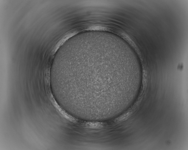 X0000115121041200911171323