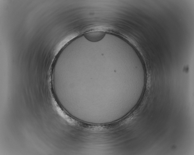X0000115121042200911171323