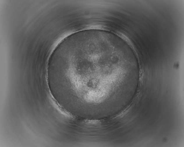 X0000115121043200911171323