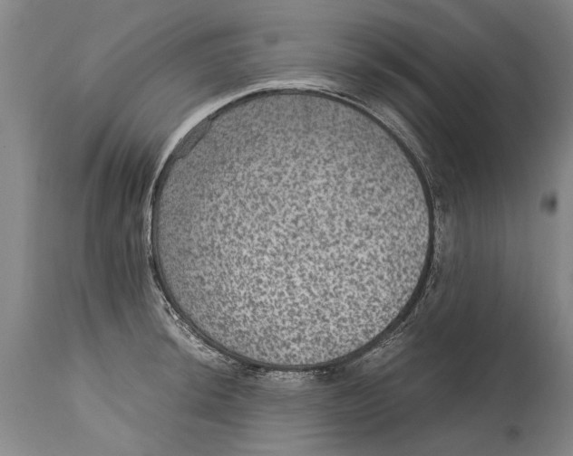 X0000115121044200911171323