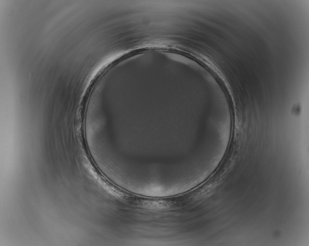 X0000115121045200911171323