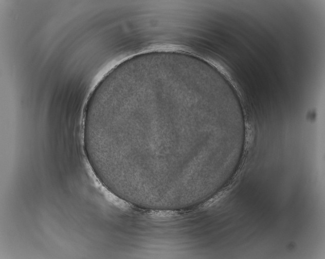 X0000115121046200911171323