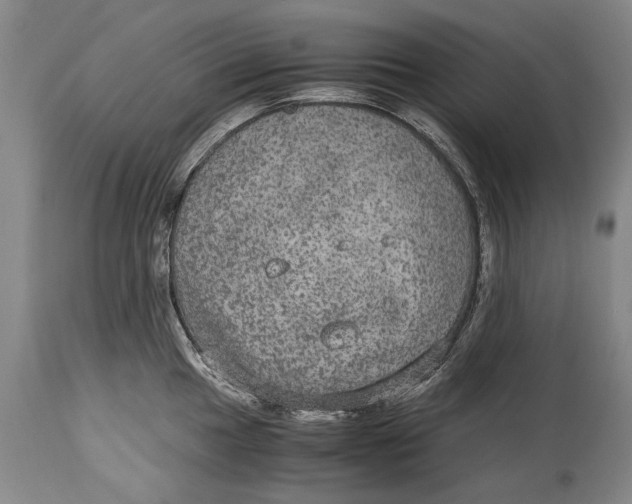 X0000115121049200911171323