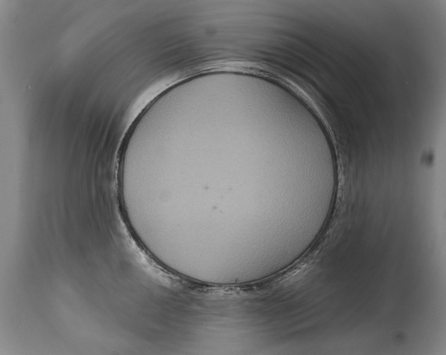 X0000115121050200911171323