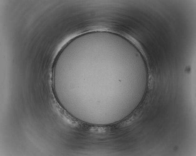 X0000115121051200911171323