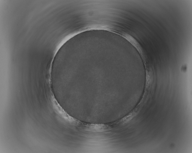 X0000115121052200911171323