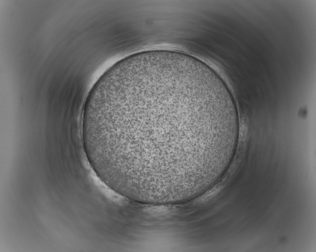 X0000115121054200911171323