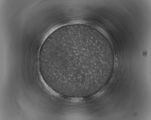 X0000115121055200911171323