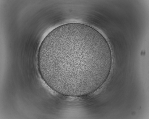X0000115121056200911171323