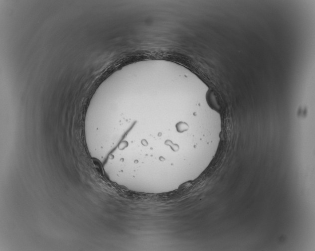 X0000115121057200911171323