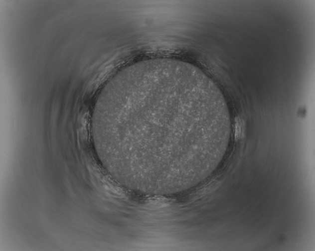 X0000115121059200911171323