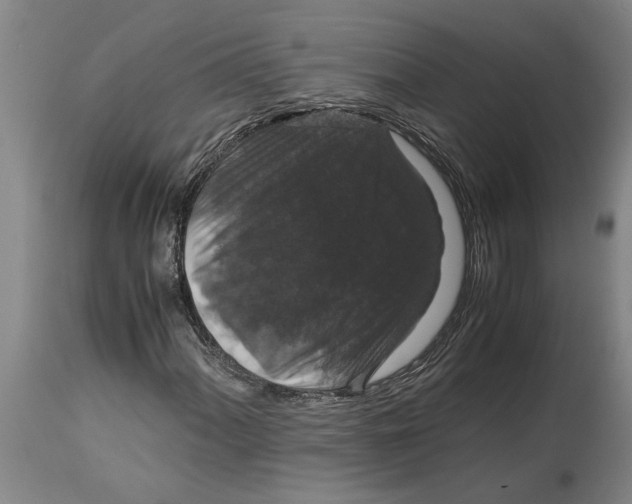 X0000115121060200911171323