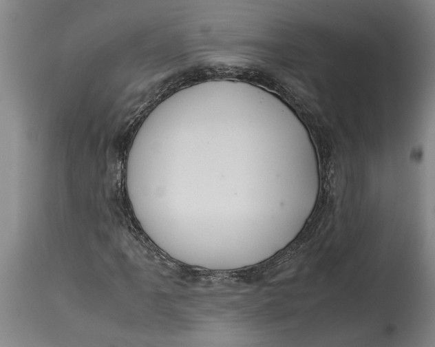 X0000115121061200911171323