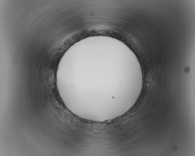 X0000115121062200911171323