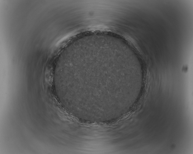 X0000115121063200911171323