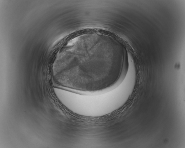 X0000115121064200911171323
