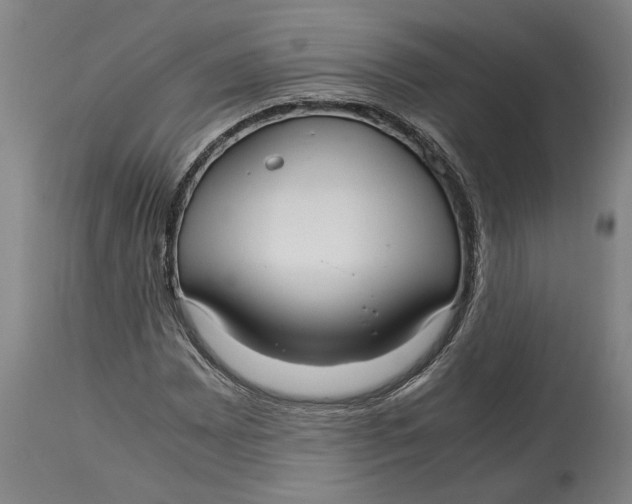 X0000115121065200911171323
