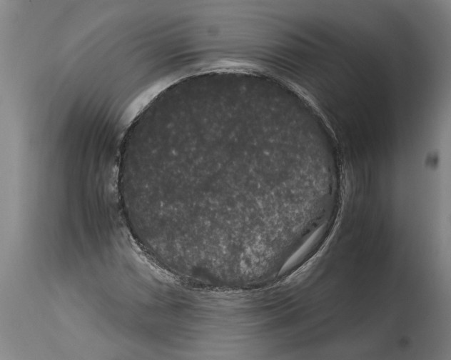 X0000115121066200911171322