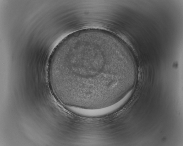 X0000115121068200911171322