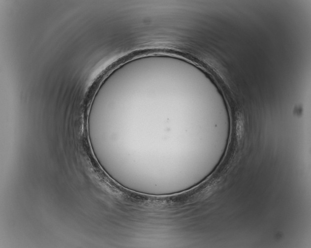 X0000115121069200911171322