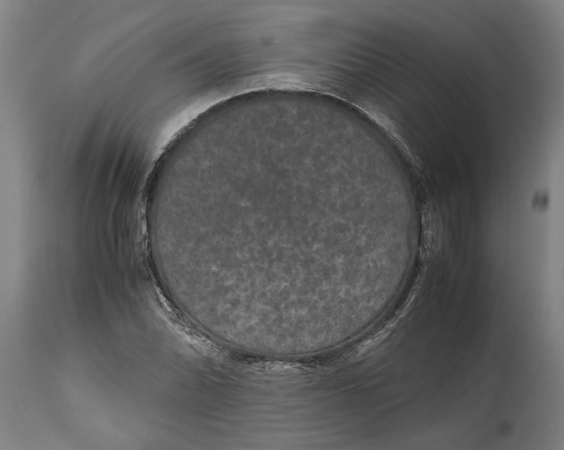X0000115121070200911171322