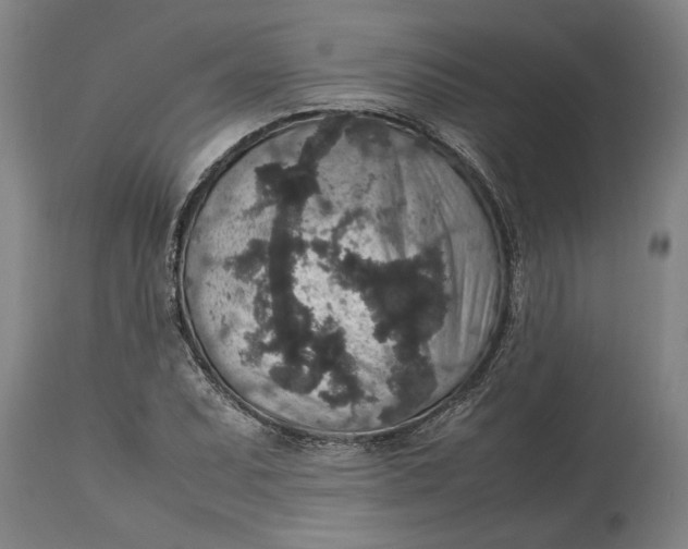 X0000115121071200911171322