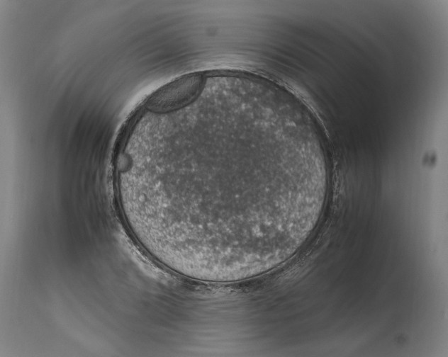 X0000115121072200911171322