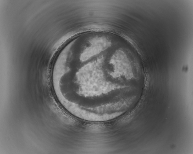 X0000115121074200911171322