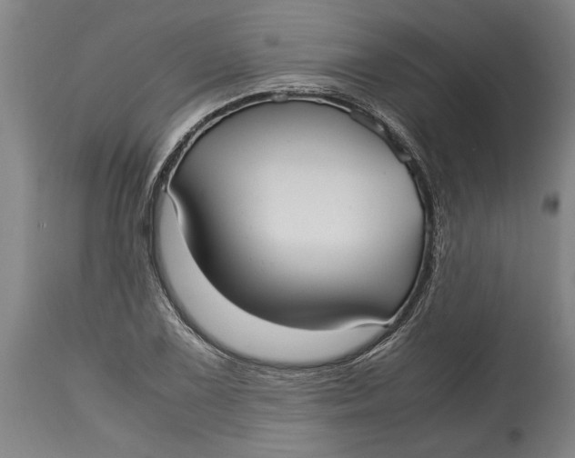 X0000115121075200911171322