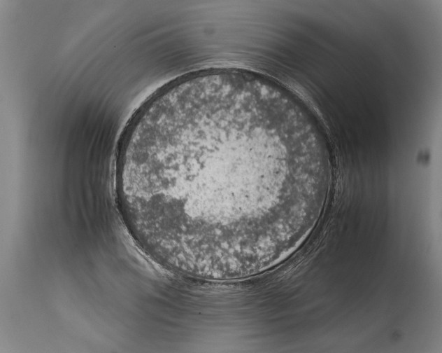 X0000115121076200911171322