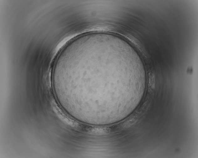 X0000115121078200911171322