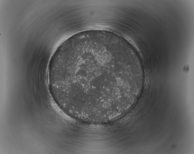 X0000115121080200911171322