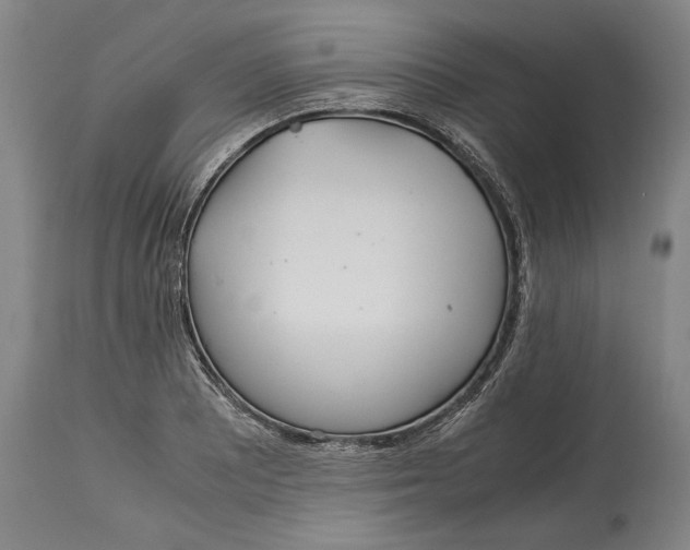 X0000115121081200911171322