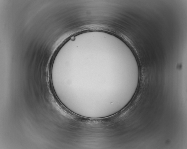 X0000115121082200911171322