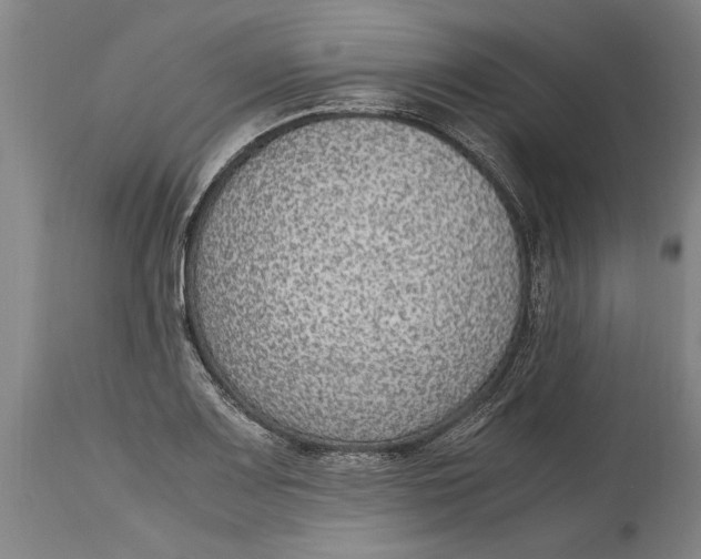 X0000115121083200911171322