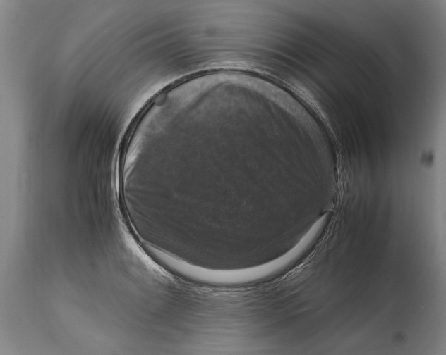 X0000115121084200911171322