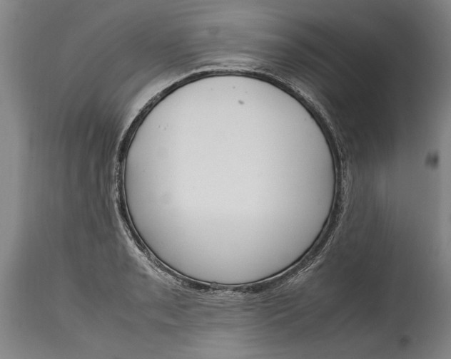 X0000115121085200911171322
