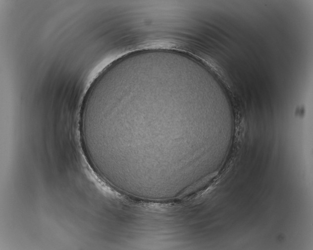 X0000115121086200911171322
