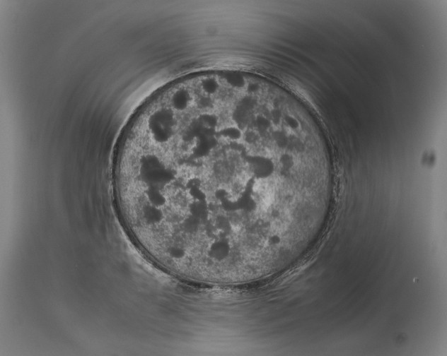 X0000115121087200911171322