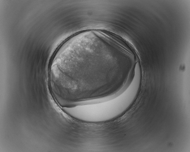 X0000115121088200911171322