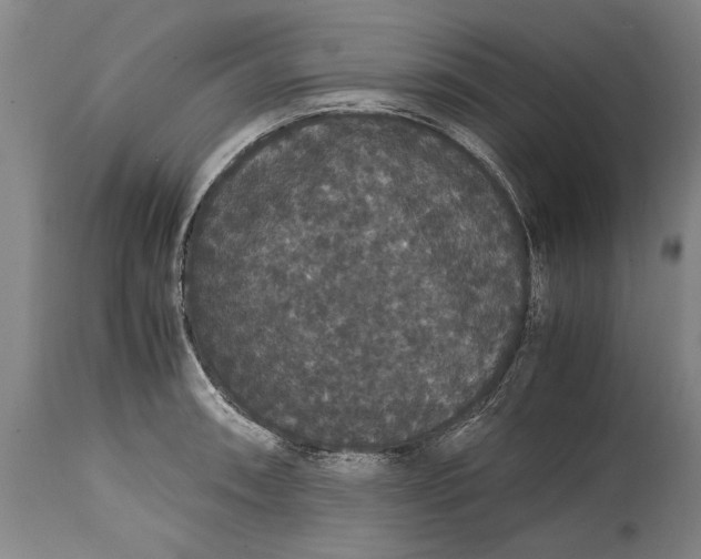 X0000115121090200911171322