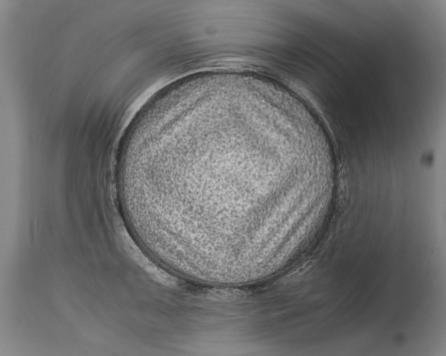 X0000115121091200911171322