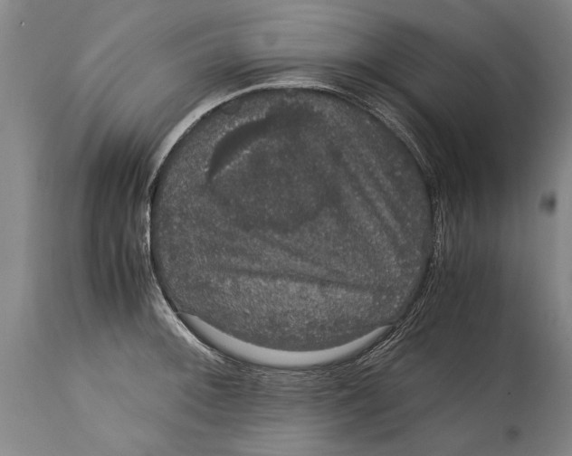 X0000115121092200911171322