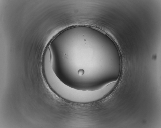 X0000115121093200911171322